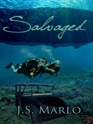 cover image of Salvaged